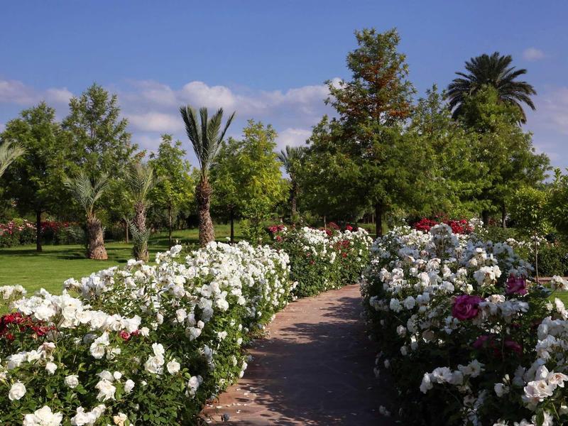 Cesta lemovaná bílými a červenými růžemi, obklopená zelenými stromy pod modrou oblohou.