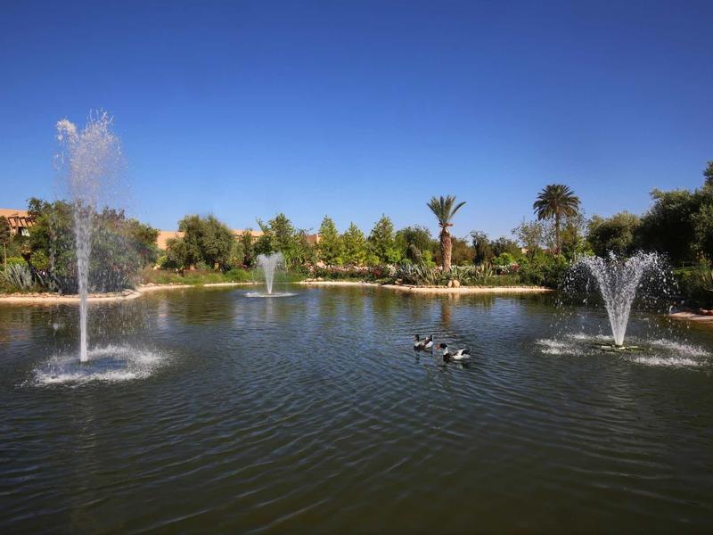 Rybník s fontánami a kachnami, obklopený stromy pod jasnou modrou oblohou.