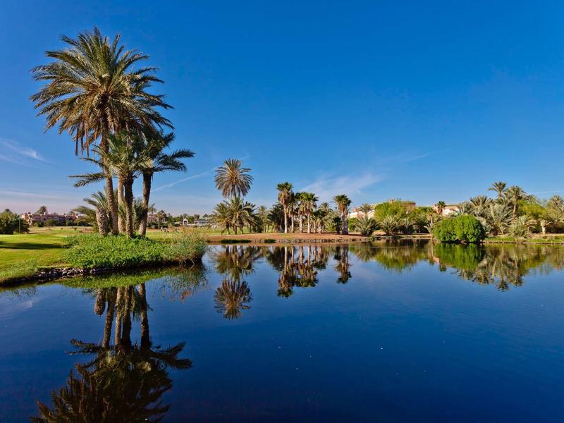 Palmy i krajobraz odbijają się w spokojnej, czystej wodzie pod niebieskim niebem.