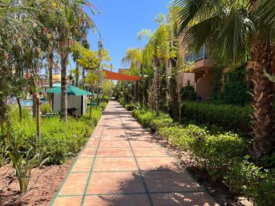 Un sentiero curato nel giardino con palme e tende da sole che conduce a un hotel.