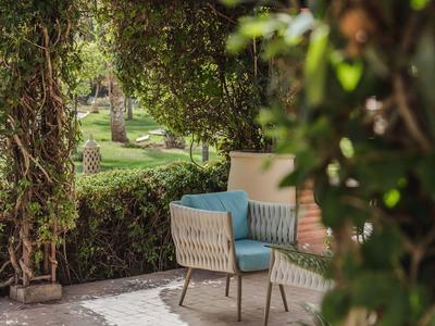 Przytulny kącik do siedzenia z krzesłami i poduszkami na tarasie otoczonym zielonymi roślinami.