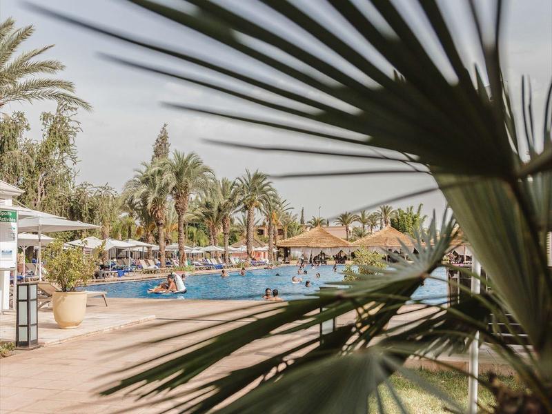 Vue à travers des feuilles de palmier sur une piscine d'hôtel animée avec des transats et des clients.