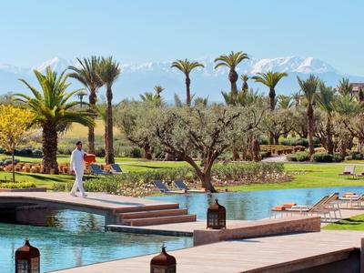 Garden area with palm trees, water channels, and a person on the wooden walkway.