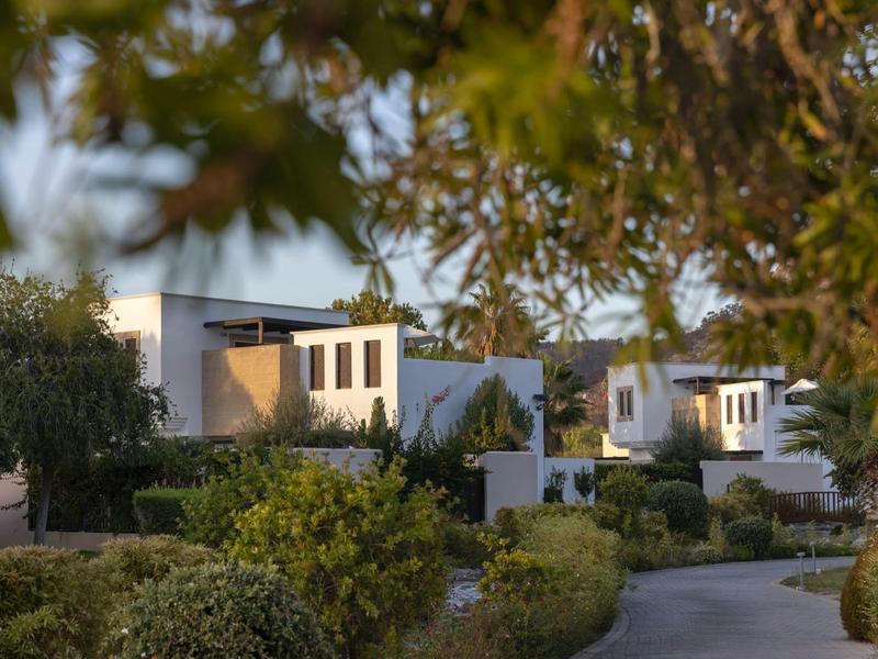 Complejo de casas modernas rodeadas de árboles y arbustos con una carretera pavimentada