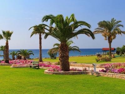 Grüner Garten mit Palmen und Blick auf das blaue Meer unter klarem Himmel.