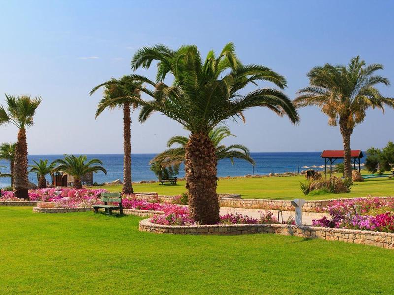 Grüner Garten mit Palmen und Blick auf das blaue Meer unter klarem Himmel.