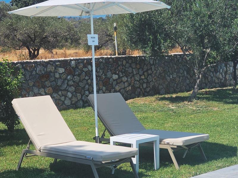 Twee ligstoelen met parasol op gras naast zwembad en stenen muur op de achtergrond.