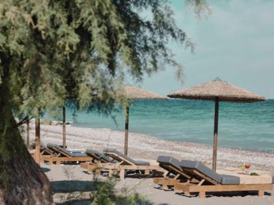 Strand mit Liegestühlen und Sonnenschirmen vor türkisfarbenem Meer unter blauem Himmel.