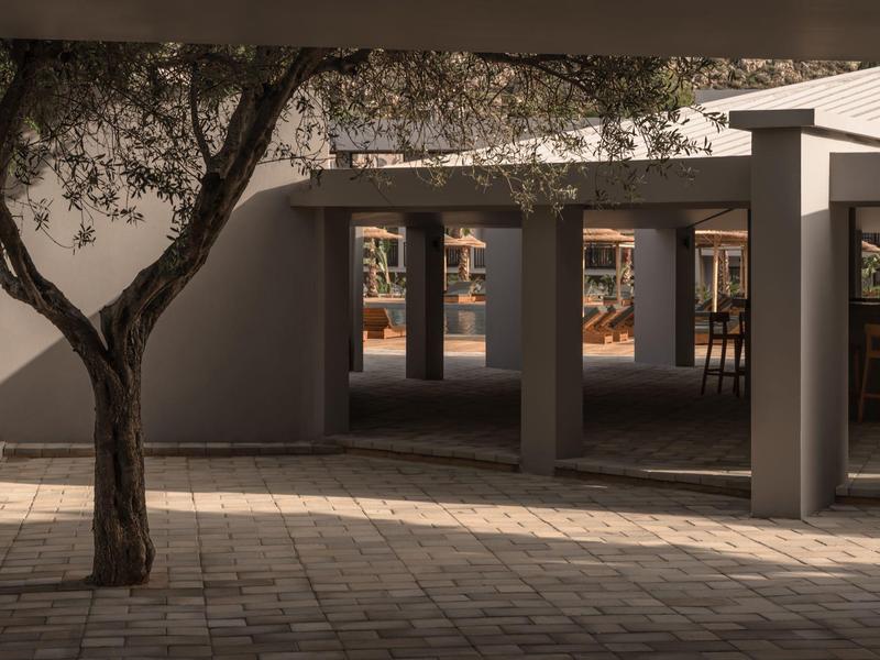 Ombre di un albero su cortile lastricato con pilastri e sedie.