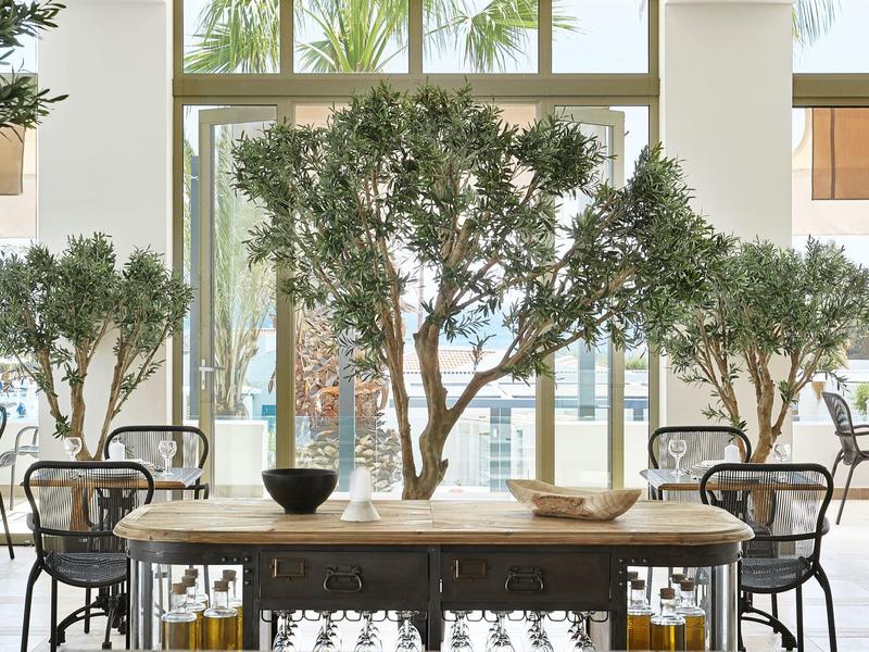 Interno luminoso con grandi finestre, tavoli, sedie e alberi decorativi.