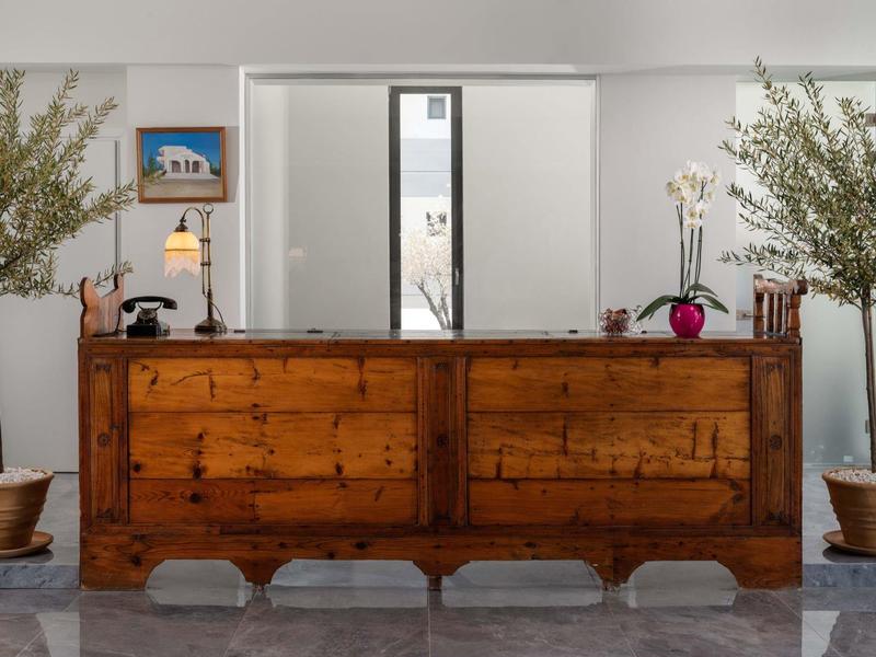 Jasny obszar recepcji z rustykalnym drewnianym kontuarem, szklaną witryną i doniczkami po obu stronach.