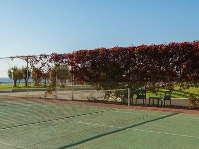 Freiluft-Tennisplatz mit grünem Belag und Weinreben an einem sonnigen Tag am Meer.