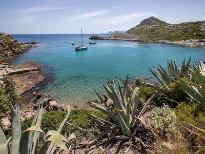 Clear water and sailboats in a calm bay with green plants and hills.