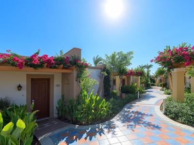 Sunny hotel walkway with colorful flowers and green plants along the entrances.