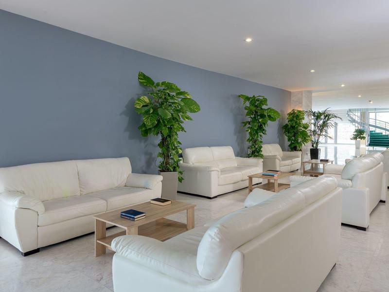 Lounge moderna con divani in pelle bianca e piante verdi davanti a una parete blu.