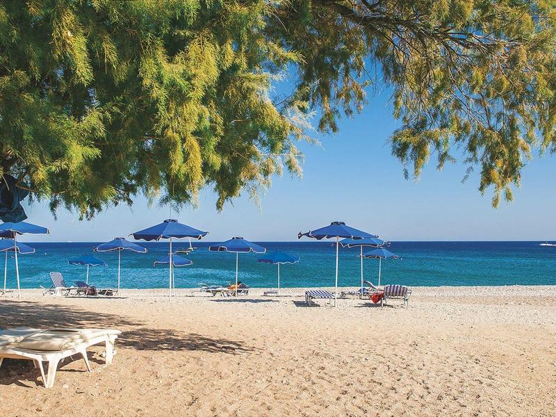 Sandy beach with sunbeds and blue umbrellas under a tree near the sea.