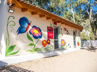 House wall painted with colorful butterflies and flowers under trees.