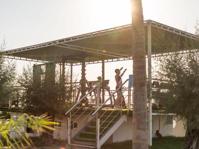 Moderner Hotel-Pool mit überdachtem Bereich und Sonnenlicht zwischen Palmen im Grünen.