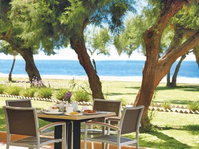 Nakryty stół z krzesłami pod drzewami, widok na morze i plażę