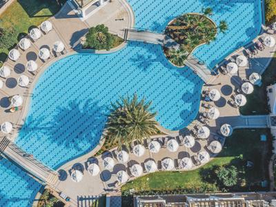 Vista panoramica di una piscina dell'hotel con lettini e ombrelloni circondata da palme.