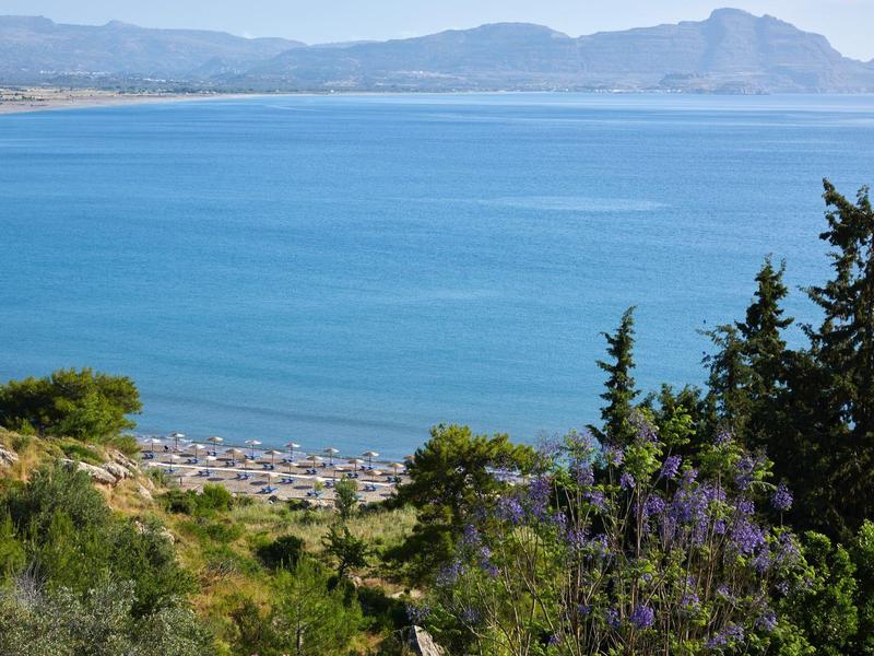 Rustige zee met strandparasolletjes, gezien vanaf een groene heuvel met bomen en bloemen.