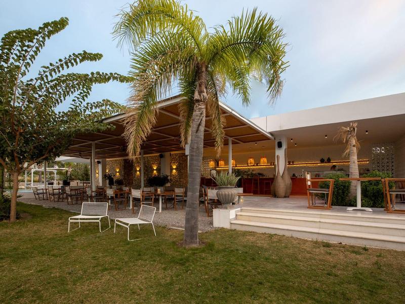 Terrazza con area salotto e palma davanti a un edificio moderno al crepuscolo.