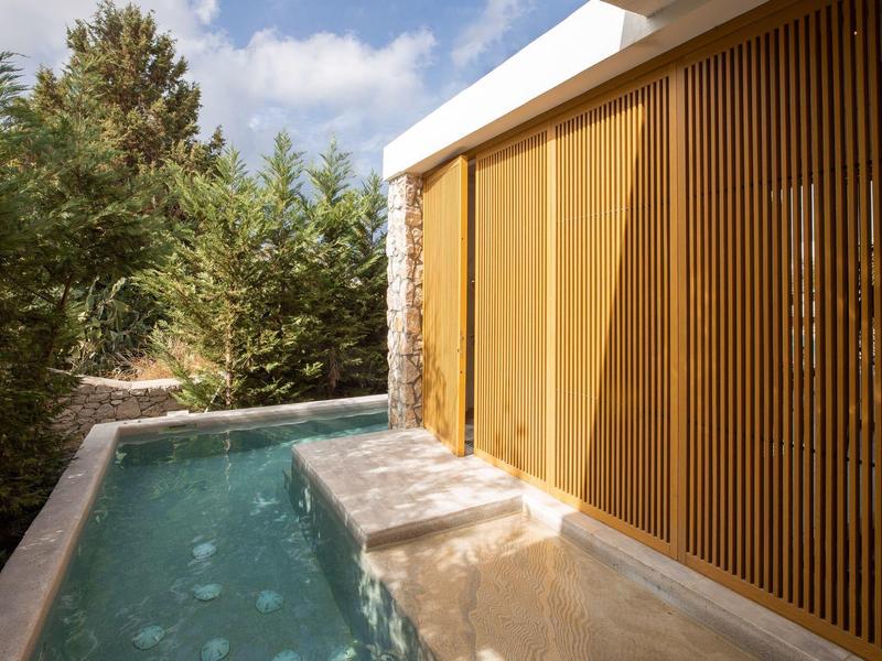 Piscina esterna moderna con parete in lamelle di legno circondata dalla natura e cielo azzurro.