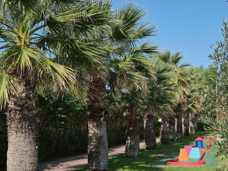 Un percorso di minigolf all'aperto accanto a una fila di palme sotto un cielo limpido.
