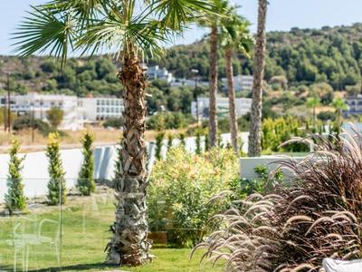 Grüne Palmen und Büsche stehen im sonnigen Garten mit Holzhockern und Stühlen.