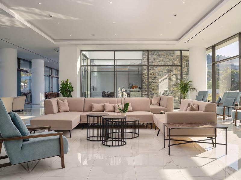 Area salotto luminosa con divani e poltrone in un interno moderno della hall dell'hotel con grandi finestre.