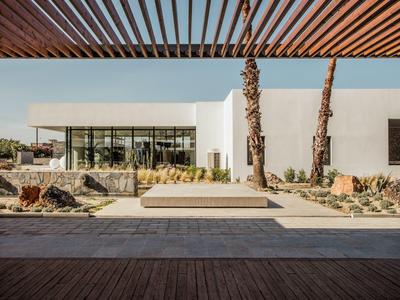 Modern wit gebouw met grote ramen en palmbomen ervoor onder een helderblauwe lucht.