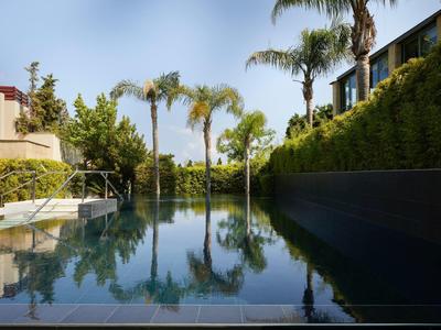 Modern pool with palm trees and green plants beside buildings on a sunny day