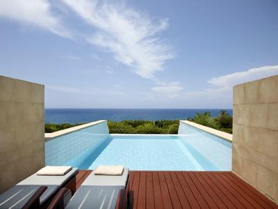 Infinity pool with wooden deck overlooking the sea under a blue sky.