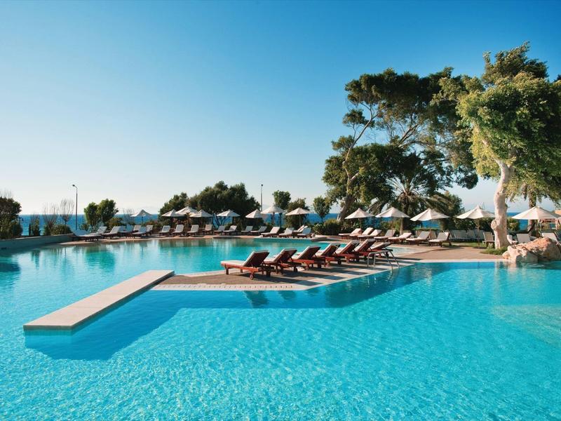 Large outdoor pool with lounge chairs and umbrellas under clear sky and trees.