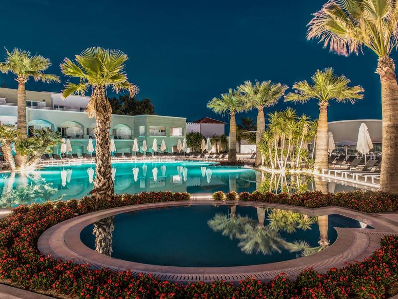 Illuminated hotel pool with palm trees and seating areas at night.