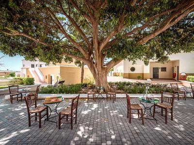 Sitzbereich mit Tischen und Stühlen unter einem großen Baum im Innenhof eines Hotels.