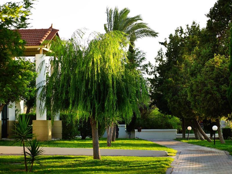 Green garden with palm trees and walkway near a white building with red roof.