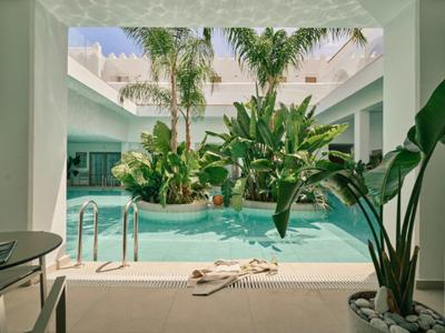 Courtyard with pool, tropical plants, and white walls in a hotel.