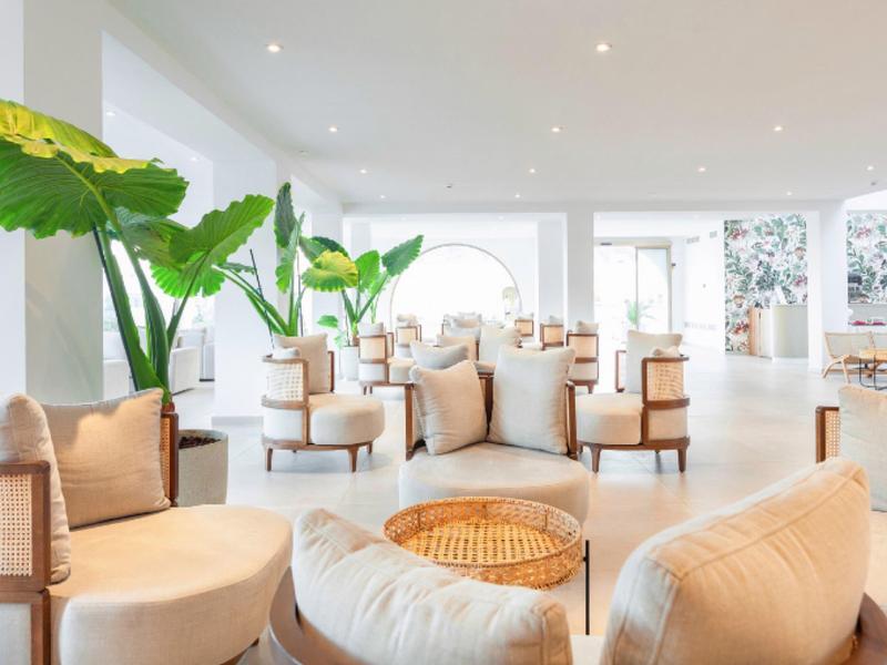 Bright lounge with cozy armchairs, plants, and natural light in a hotel