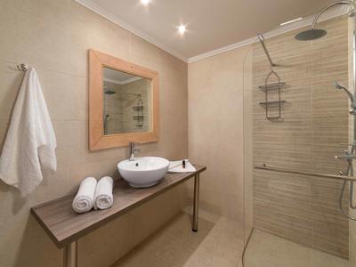 Bright bathroom with shelf, sink, mirror, and walk-in shower with rain showerhead.