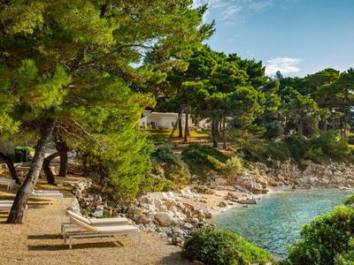 Spiaggia con lettini, alberi verdi e acqua azzurra limpida sotto un cielo sereno.
