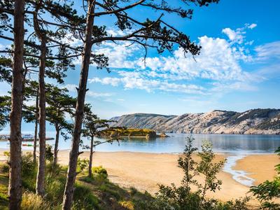 Sandstrand mit Pinienbäumen, klarem blauen Himmel und felsigen Hügeln im Hintergrund.