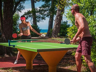 Twee mannen spelen tafeltennis aan een buitentafel in een bosrijk gebied bij een meer.
