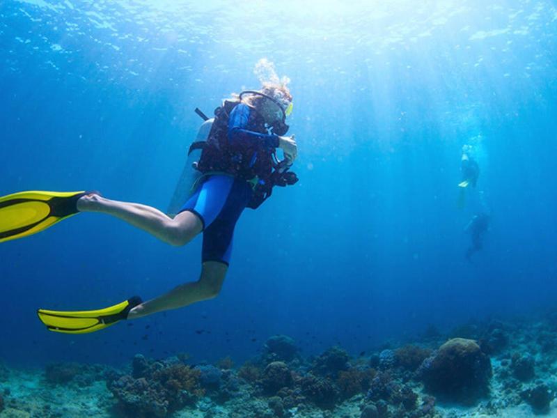 Taucher mit gelben Flossen erkunden klares, blaues Wasser über einem Korallenriff.