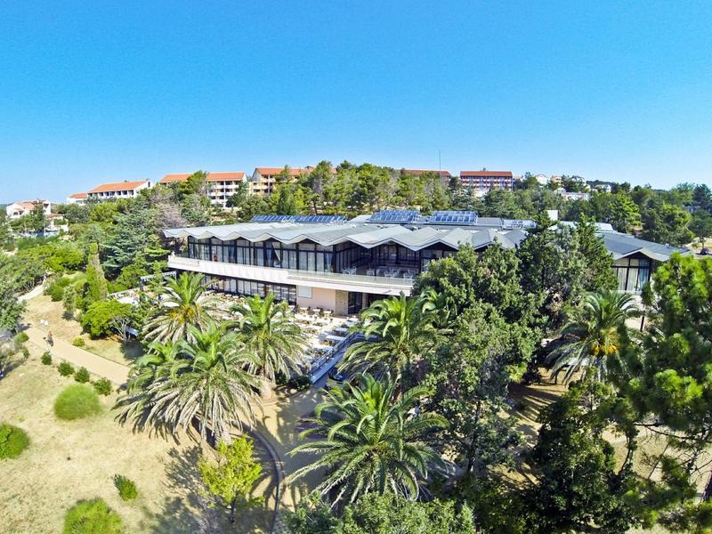 Edificio de hotel rodeado de palmeras y paisaje verde bajo un cielo azul claro.