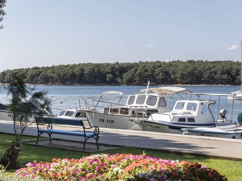 Widok na port z łodziami i kwietnikiem na pierwszym planie.