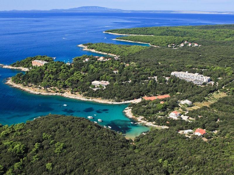 Aerial view of a forested coastline with coves and clear blue water.