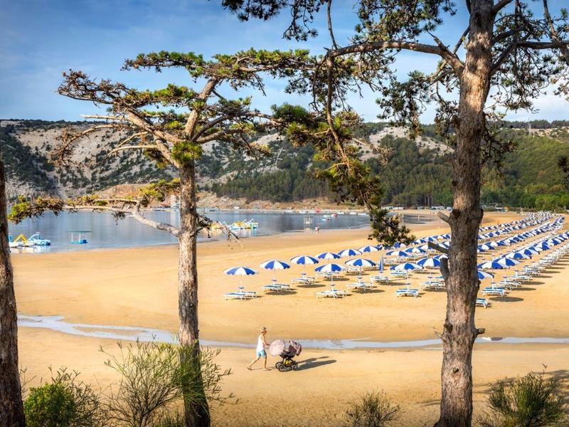 Sandy beach with lounge chairs and umbrellas seen through trees on the shore.