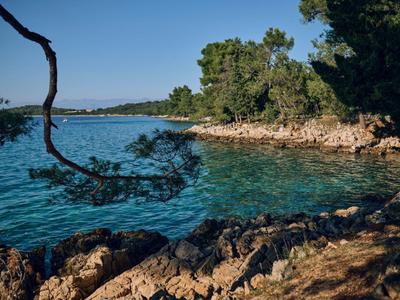 Cool, clear sea water by rocky coast with trees under blue sky.