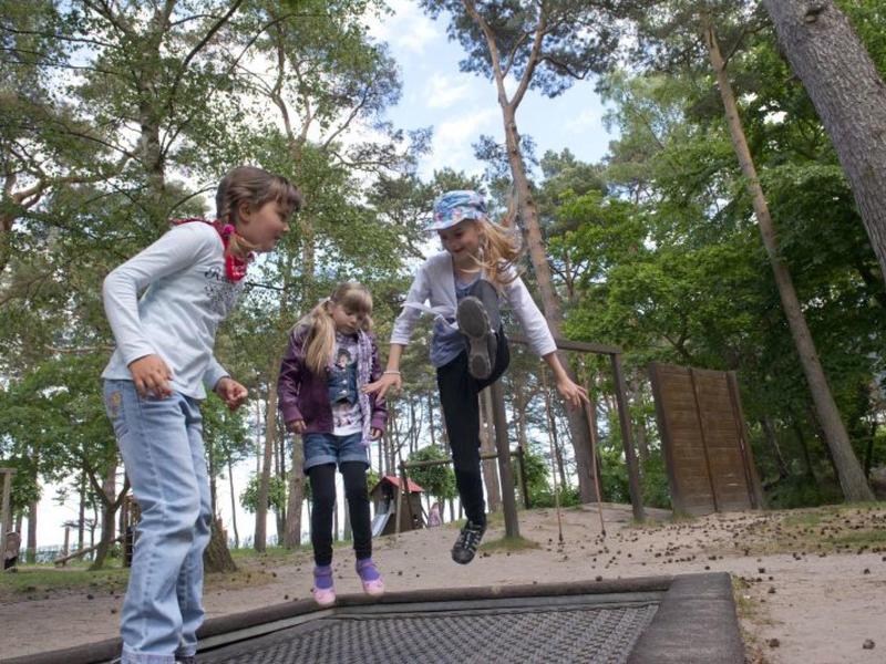 Drei Kinder springen auf einem Trampolin im Wald, umgeben von hohen Bäumen und Sandboden.